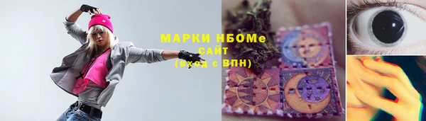 Альфа ПВП Аркадак