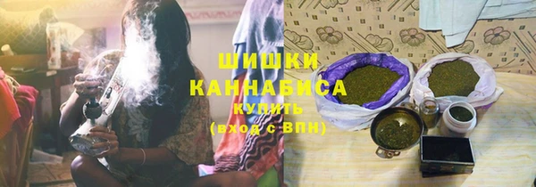 Альфа ПВП Аркадак