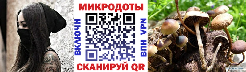 Галлюциногенные грибы ЛСД  где продают наркотики  Мончегорск 